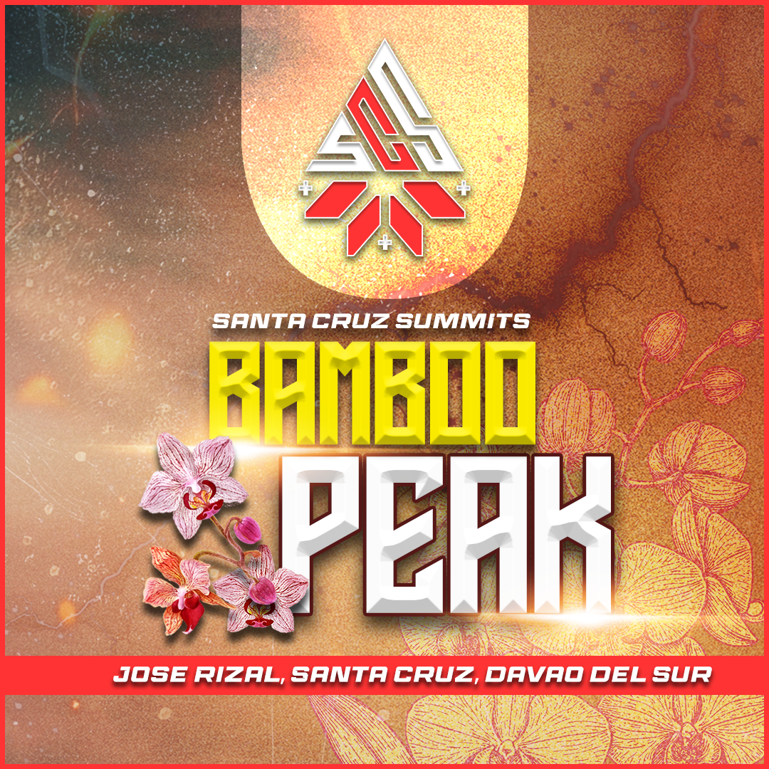 Brown leather key ring with brass metal loops and rivets on wood table.